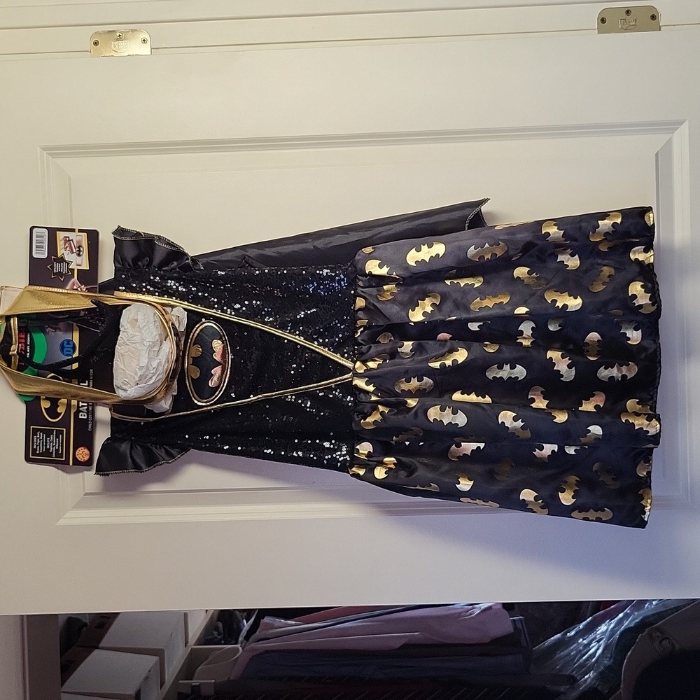 Batgirl Costume